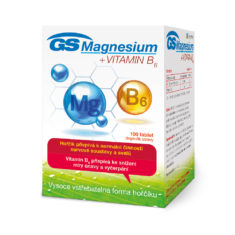 GS Magnesium s vitaminem B6, 100 tablet