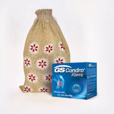 GS Condro® FORTE, 120 tablet - vánoční balení