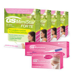 GS MimiStar FORTE 360 tablet