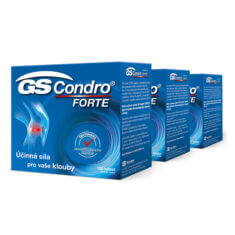 GS Condro® FORTE 360 tablet